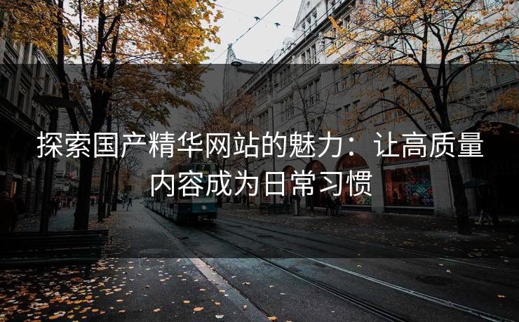 探索国产精华网站的魅力：让高质量内容成为日常习惯