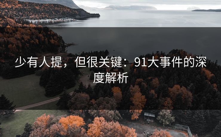 少有人提,但很关键:91大事件的深度解析 少有人提,但很关键:91大事件的深度解析